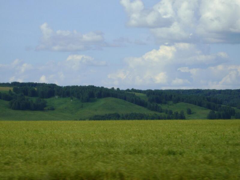 DSC03093.jpg