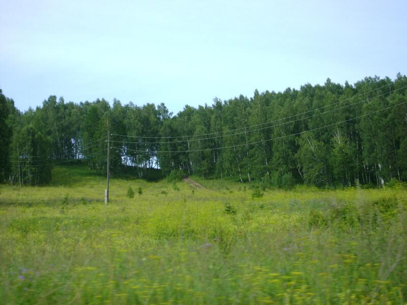 DSC03091.jpg