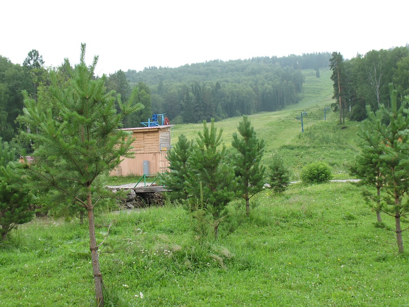  050.jpg