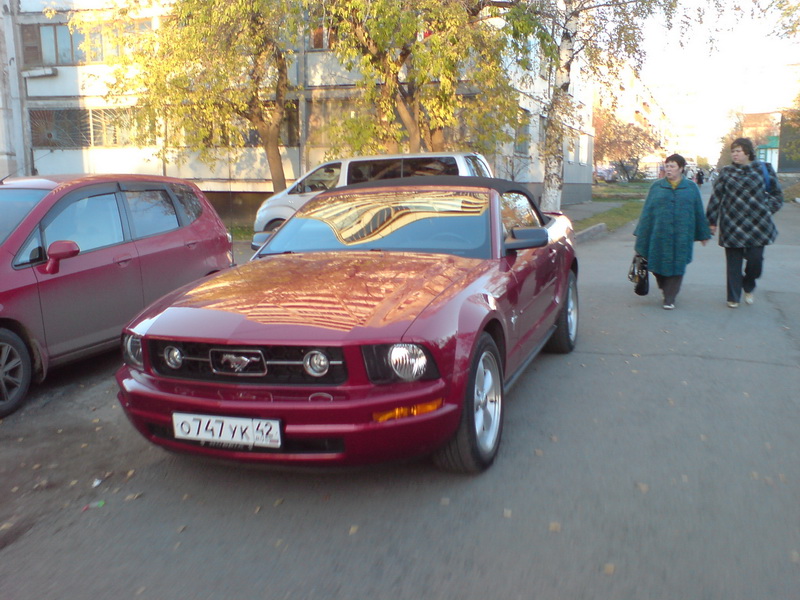 DSC01505_resize.JPG