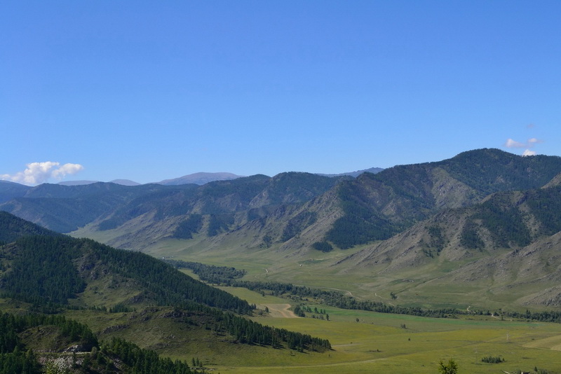 z_0df369c9.jpg
