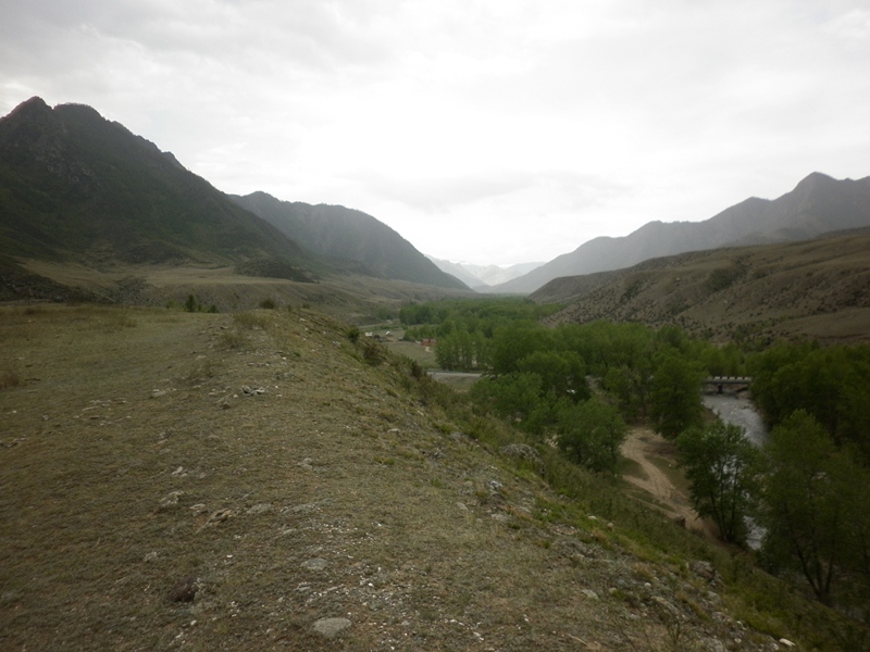 P1000528.JPG